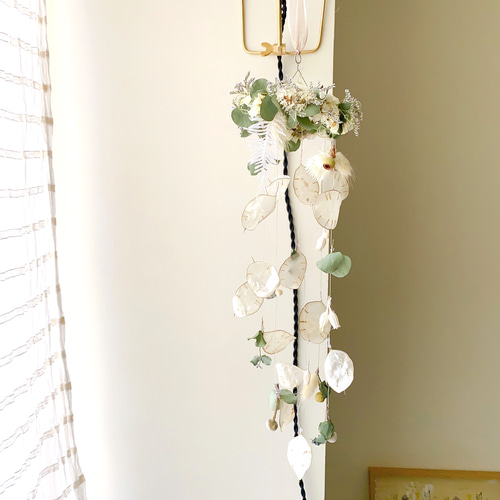 風を感じて ゆらゆら揺らめく ルナリアフライングリース フラワー