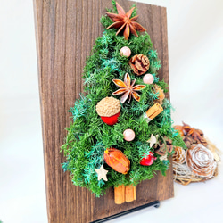 Creema限定クリスマス【winter scenery】木の実たちの ウッドボードリース&ツリーセット 12枚目の画像