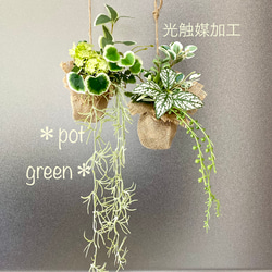 送料無料】☆光触媒加工 フェイクグリーン壁掛け☆ウォールグリーン 2