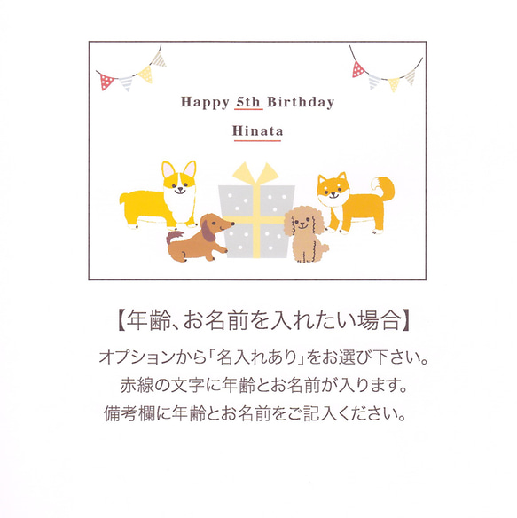 【名入れも可能】バースデーカード/柴犬、ダックスフンド、コーギー、トイプードル＜お誕生日カード＞ 5枚目の画像