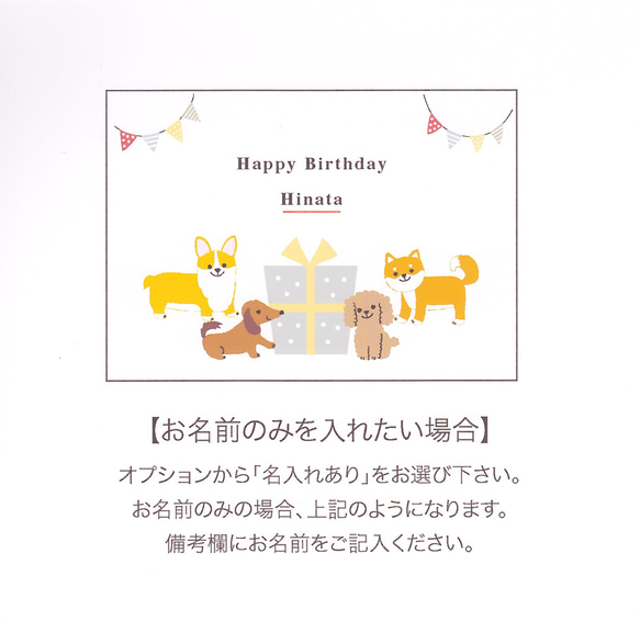 【名入れも可能】バースデーカード/柴犬、ダックスフンド、コーギー、トイプードル＜お誕生日カード＞ 6枚目の画像