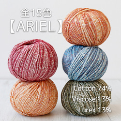 【Y9】全12色！イタリア製 ファンシーヤーン -ARIEL-【輸入毛糸】 1枚目の画像