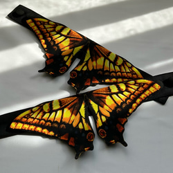 蝶々アンクレット:アゲハ蝶-残懐- 3枚目の画像