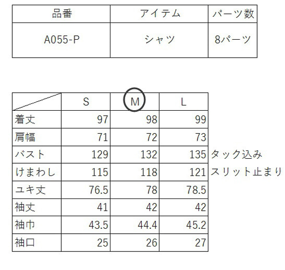 型紙　BIGシャツ　A055-P　レディース 12枚目の画像