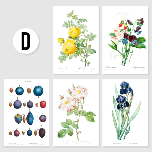 ルドゥーテ ボタニカル ポストカードセット 5種5枚セット お洒落 薔薇