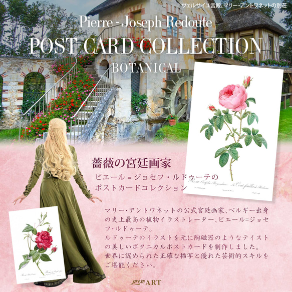 ルドゥーテ ボタニカル ポストカードセット 5種5枚セット お洒落 薔薇 ローズ 植物 花 絵ハガキ イラスト 2枚目の画像