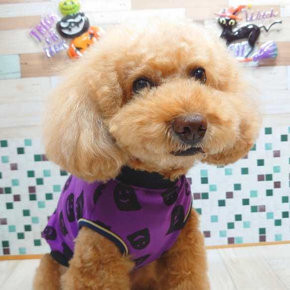 【犬服】 ハロウィン モンスター❢  スムースニット タンクトップ 4枚目の画像