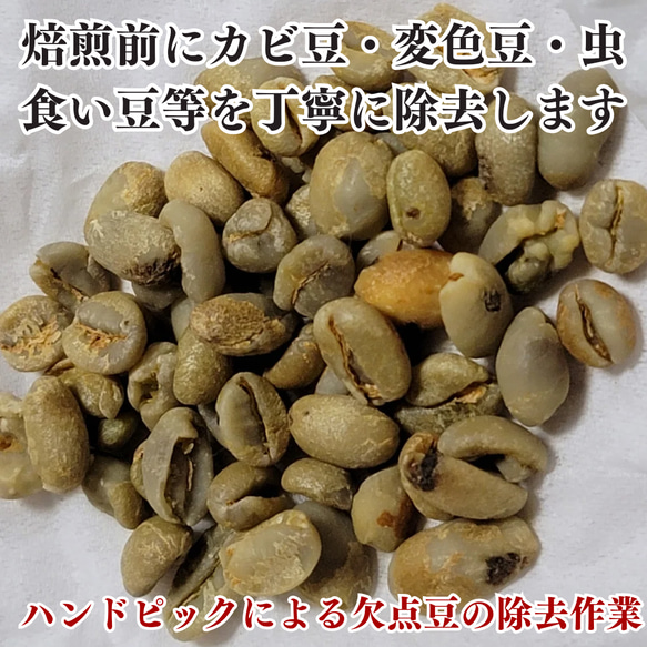 お試し価格 選べる美味しいドリップコーヒー 8個 両面に可愛い猫柄 ねこのめ珈琲 あなたのご褒美用やプチお土産用に 人気・おすすめ｜使いやすい・旅行におすすめ セール中 全国発送 国内発送対応