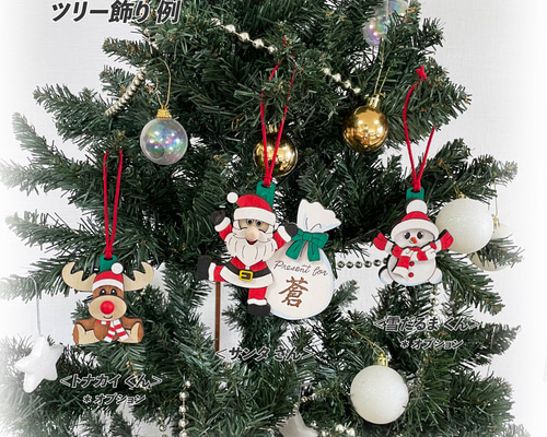 送料無料 お誕生日 サンタさんからの贈り物 名入れ無料 プレゼント