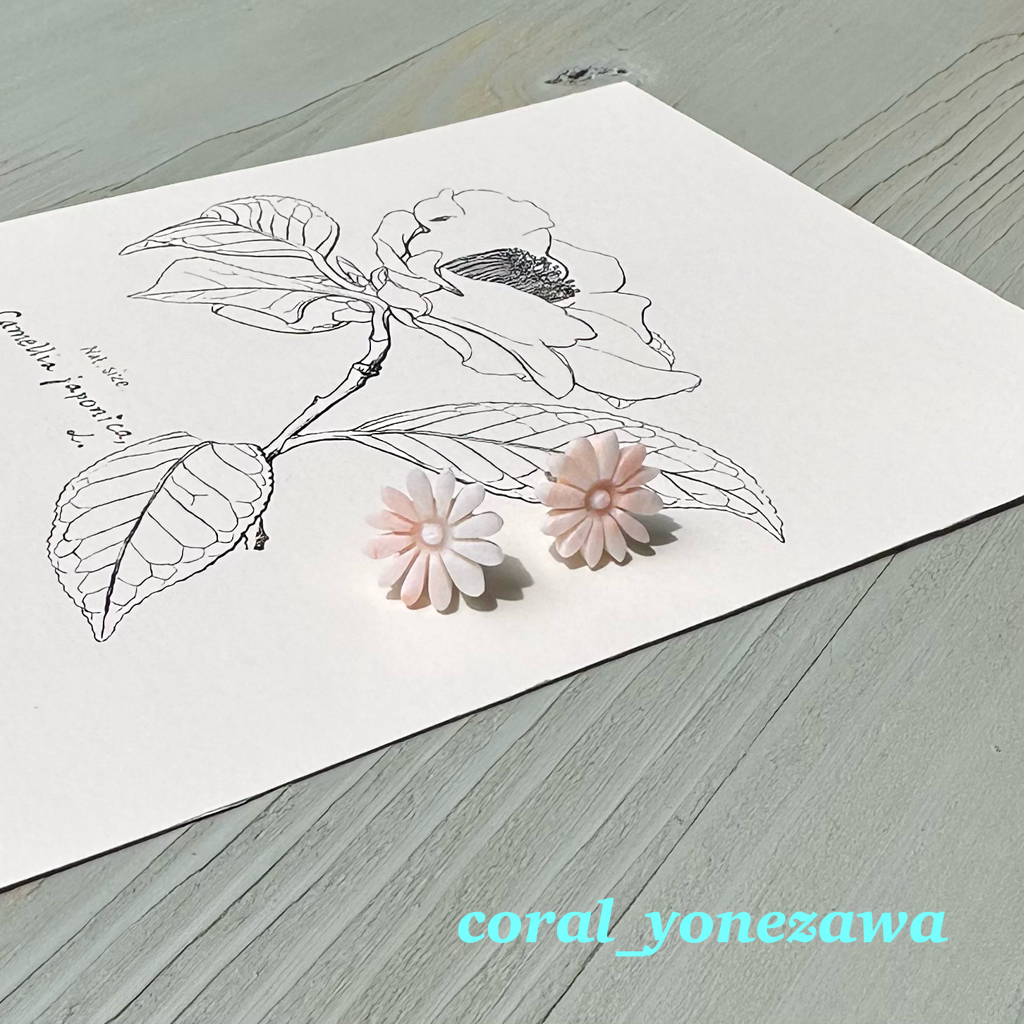 珊瑚彫りピアス　お花のピアス　菊　ポストチタン　R50826Y2