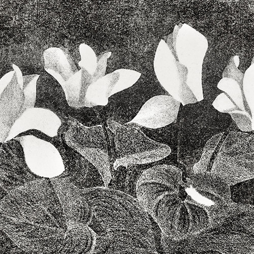 ヒトこもる 花心　複製画　黒・白 (複製画(プリモアート) - A4 黒) ヒトこもる 花心 複製画 黒・白 (複製画(プリモアート) - A4 黒)