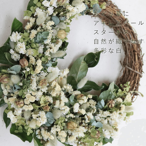 ◇ハーフリース◇ナチュラル◇プレゼント お急ぎ便 ムーミン ドライフラワー「ナチュラル・ハーフリース