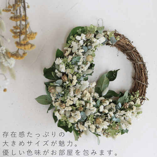 直径約30cm】大きなホワイトハーフムーンリース ◇ ドライフラワー