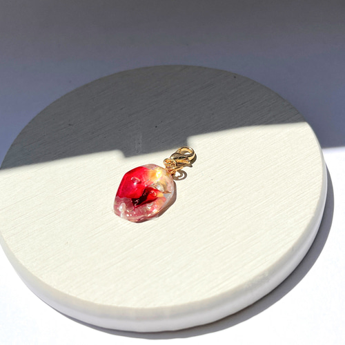 薔薇のミニチャーム / ドライフラワー / 鉱石 / レジン / 秋色 その他