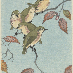 【NO.492】鶯とどんぐりの日本画アートポスター☆ウグイス和柄植物浮世絵和モダン大正ロマンB5A4A3A2A1B5B4 2枚目の画像