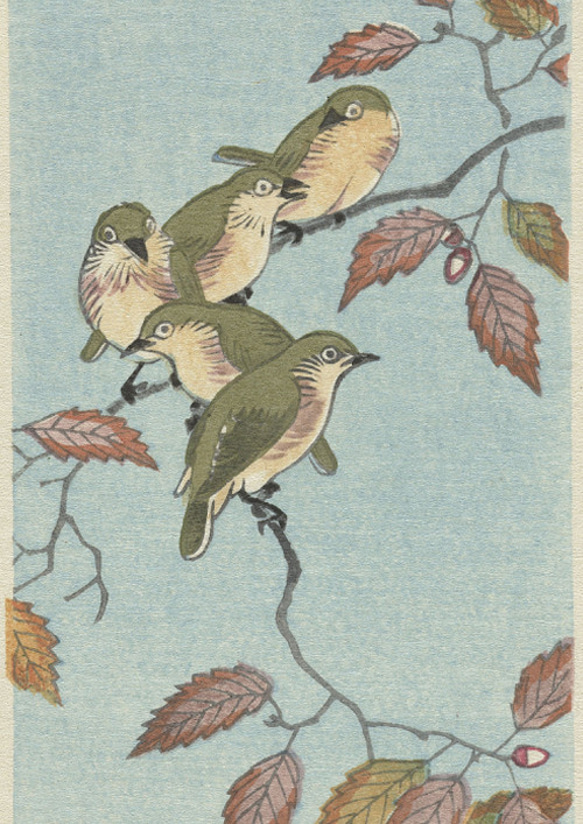 【NO.492】鶯とどんぐりの日本画アートポスター☆ウグイス和柄植物浮世絵和モダン大正ロマンB5A4A3A2A1B5B4 2枚目の画像