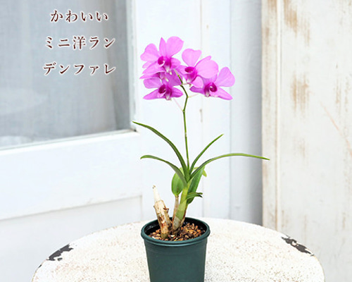 89ea9dee295e8a5deb49e1e4579603