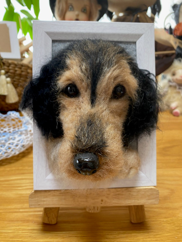 愛犬ちゃんのそっくりなリアルなペット人形をお作りします！　羊毛フェルト　犬　オーダー　ぬいぐるみ　愛犬　　ペット　リアル 6枚目の画像