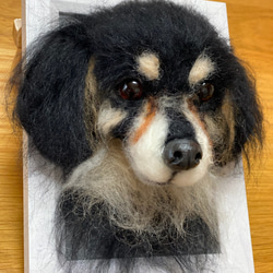 愛犬ちゃんのそっくりなリアルなペット人形をお作りします！　羊毛フェルト　犬　オーダー　ぬいぐるみ　愛犬　　ペット　リアル 5枚目の画像