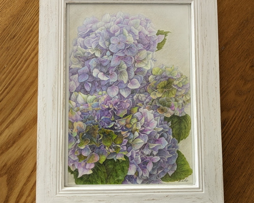 作家物 迫力 紫陽花 アジサイ 絵 絵画 72×64cm 370071-re-1.jpg