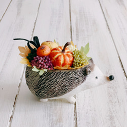 再販！プティットボブのカボチャ畑（ハリネズミ） 7枚目の画像