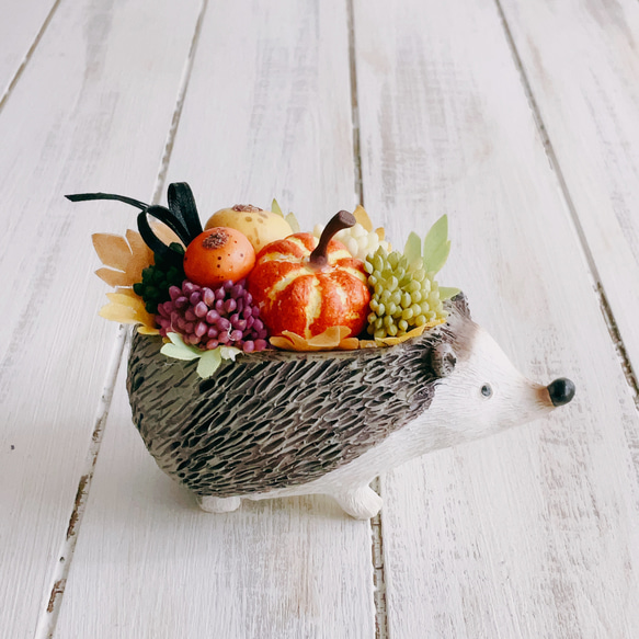 再販！プティットボブのカボチャ畑（ハリネズミ） 7枚目の画像