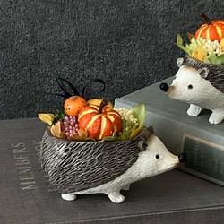 再販！プティットボブのカボチャ畑（ハリネズミ） 2枚目の画像