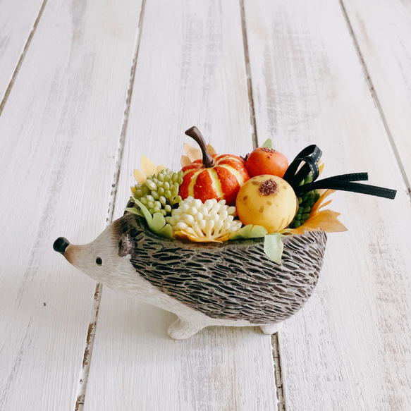 再販！プティットボブのカボチャ畑（ハリネズミ） 5枚目の画像