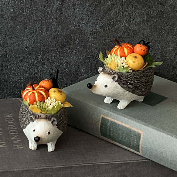 再販！プティットボブのカボチャ畑（ハリネズミ） 1枚目の画像