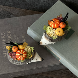 再販！プティットボブのカボチャ畑（ハリネズミ） 3枚目の画像