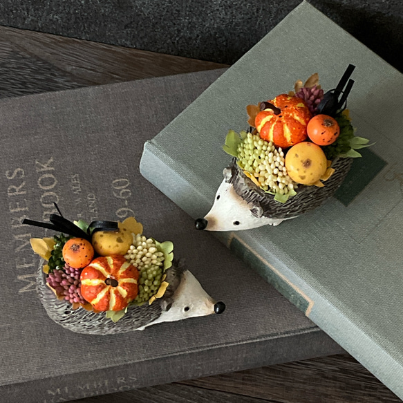 再販！プティットボブのカボチャ畑（ハリネズミ） 3枚目の画像