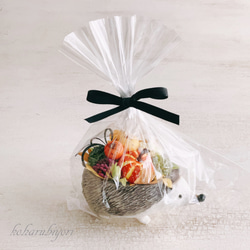 再販！プティットボブのカボチャ畑（ハリネズミ） 10枚目の画像