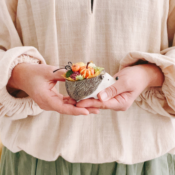 再販！プティットボブのカボチャ畑（ハリネズミ） 11枚目の画像