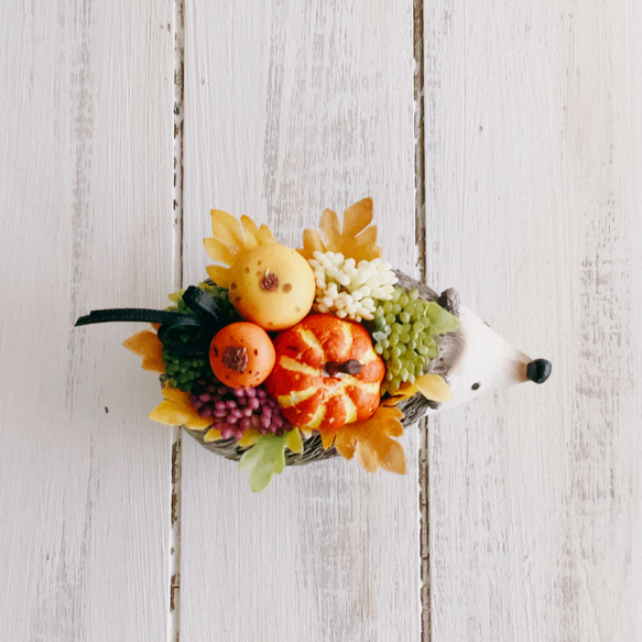 再販！プティットボブのカボチャ畑（ハリネズミ） 9枚目の画像