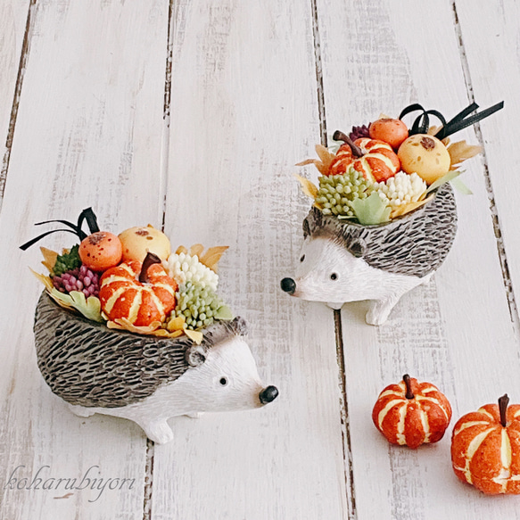 再販！プティットボブのカボチャ畑（ハリネズミ） 4枚目の画像