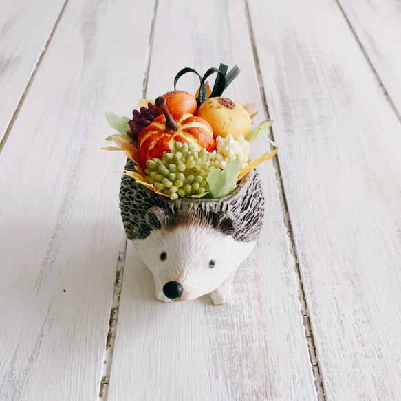 再販！プティットボブのカボチャ畑（ハリネズミ） 6枚目の画像