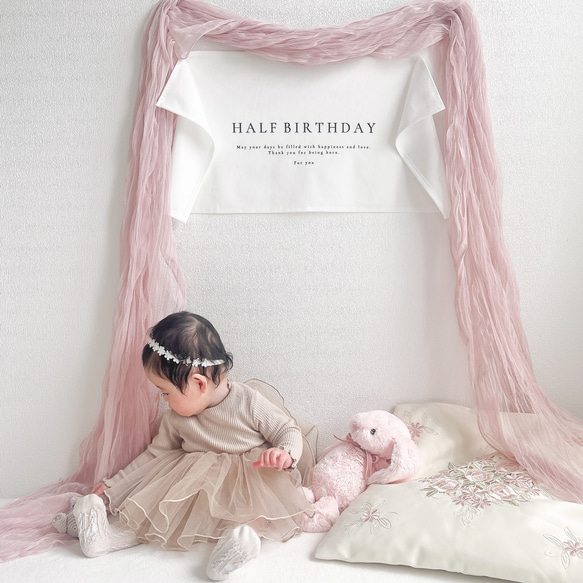 T026 【 HALF BIRTHDAY tapestry 】 ハーフバースデー タペストリー 生後6ヶ月 1/2 バー 9枚目の画像