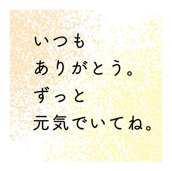[敬老の日におすすめ]  Arrangement (L) -calla flowers- 10枚目の画像