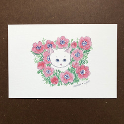 【猫のイラスト】はがき・ポストカード ［猫と花シリーズ］4種類セット 2枚目の画像