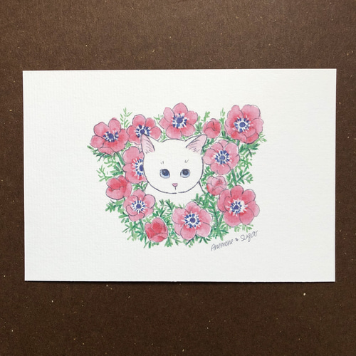 猫のイラスト】はがき・ポストカード ［猫と花シリーズ］4種類