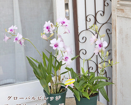 34c00f1a0cab3c3e3375472c9fcdea