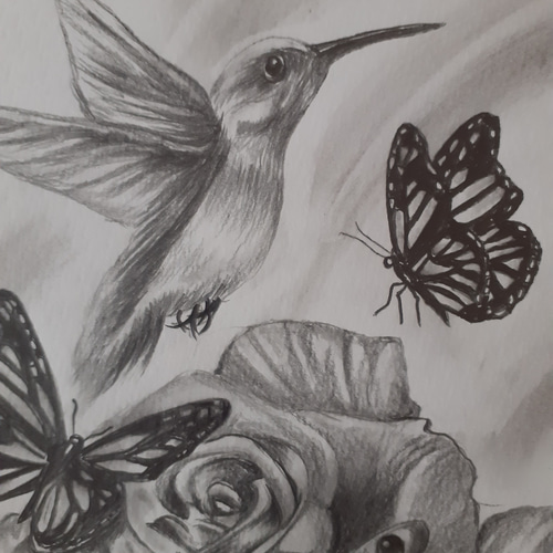 鉛筆画 ハチドリとバラの花とチョウ 絵画 makochin 通販