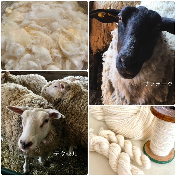 sheep-ish 道産羊毛 手つむぎ毛糸 手紡ぎ糸  天然色 無染色 ハンドスパン 道産羊毛  約40g #5029 10枚目の画像