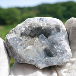 天然石 約285g約80mmセレスタイト(マダガスカル産)クラスター原石結晶ぎっしり天青石[ce-230827-01] 1枚目の画像