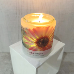 Botanical flower candle(ガーベラRED) LEDティーライトキャンドル付き 送料無料 6枚目の画像