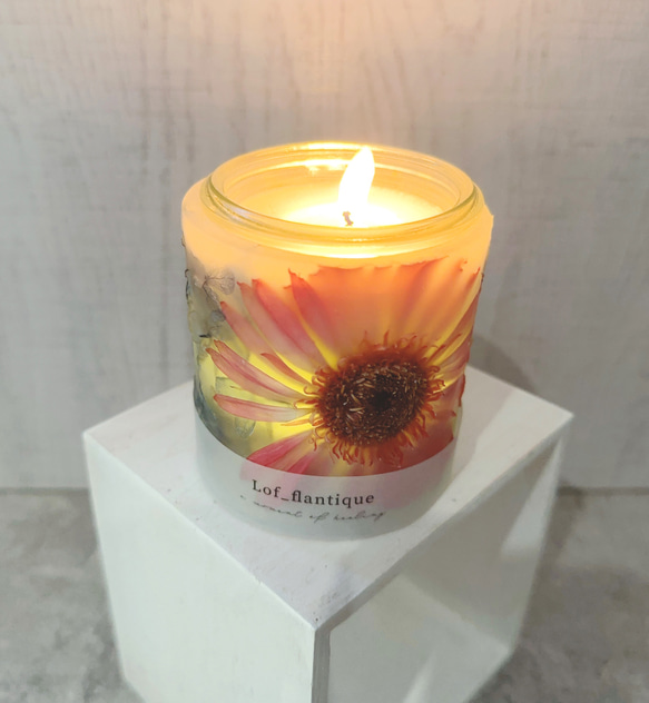 Botanical flower candle(ガーベラRED) LEDティーライトキャンドル付き 送料無料 6枚目の画像