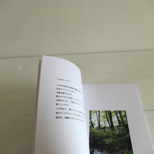 アートブック「 夏が好きな理由」フォト&エッセイ・ZINE・リトルプレス