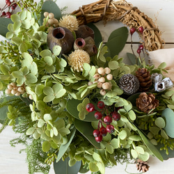 木の実たちとアナベルの秋のハーフリース 7枚目の画像