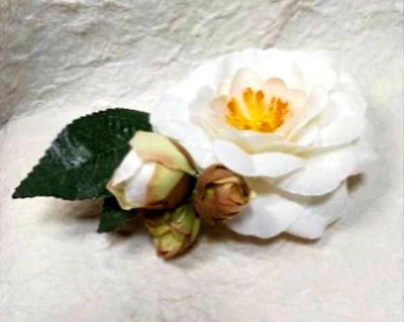 八重咲き白椿⚪蕾付き☆ダブルクリップ 2枚目の画像