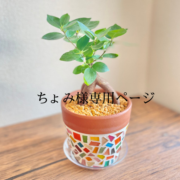 楽天市場】6/23はまとめ買いがお得！2BUY3%OFF！3BUY5%OFF